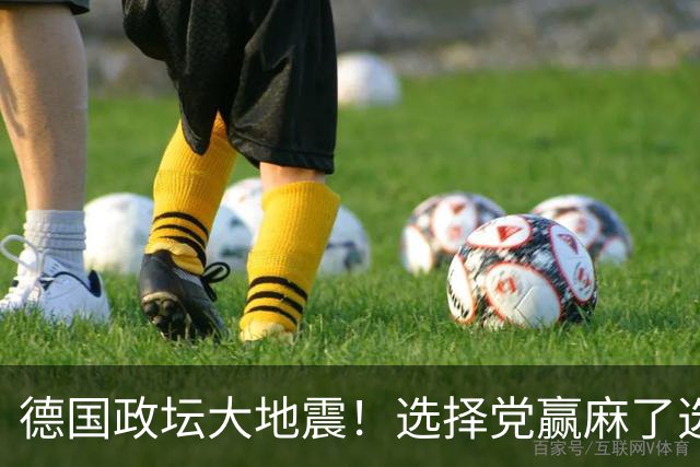 德国政坛大地震！选择党赢麻了选票，魏德尔却栽在了盟友身上