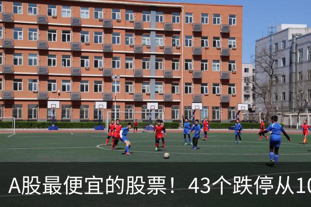A股最便宜的股票！43个跌停从106元跌到0.07元，韭菜直接连根拔起